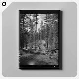 アートパネル-Logging in Malheur National Forest
 - ラッセル リー Canvas.