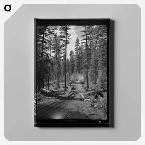 アートパネル-Logging in Malheur National Forest
 - ラッセル リー Canvas.