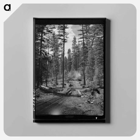 アートパネル-Logging in Malheur National Forest
 - ラッセル リー Canvas.