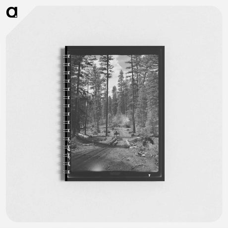 アートメモ帳-Logging in Malheur National Forest
 - ラッセル リー Memo.