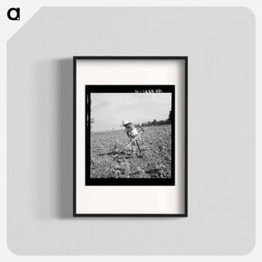 アートポスター-Child of impoverished tenant family working on farm. Alabama - ドロテア ラング Poster.