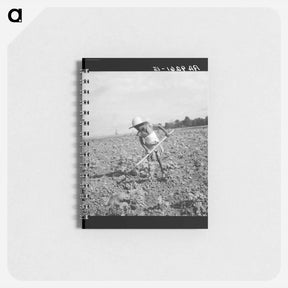 アートメモ帳-Child of impoverished tenant family working on farm. Alabama - ドロテア ラング Memo.