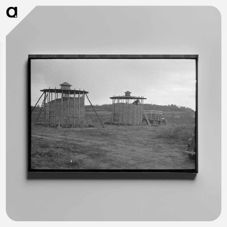 アートパネル-Hightstown Corn
 - ラッセル リー Canvas.