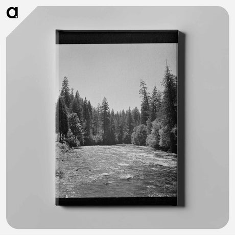 アートパネル-McKenzie River, Willamette National Forest
 - ラッセル リー Canvas.