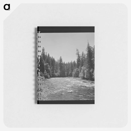 アートメモ帳-McKenzie River, Willamette National Forest
 - ラッセル リー Memo.