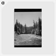 アートポストカード-McKenzie River, Willamette National Forest
 - ラッセル リー Postcard.