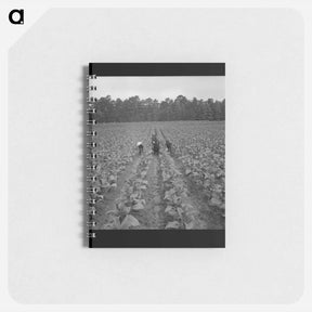 アートメモ帳-Untitled photo - ドロテア ラング Memo.