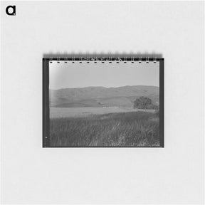 アートメモ帳-Migratory labor camp in the Santa Clara Valley, California - ドロテア ラング Memo.