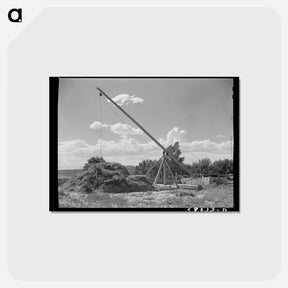 アートポストカード-Mormon Hay Stacker
 - ラッセル リー Postcard.