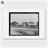 Untitled photo - Dorothea Lange Poster.