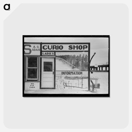アートポストカード-Curio Shop and Ladies' Restroom
 - ラッセル リー Postcard.