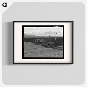 アートポスター-Sugar beet field showing tractor with plowshare attached and operator - ドロテア ラング Poster.