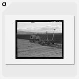 Sugar beet field showing tractor with plowshare attached and operator - Dorothea Lange Poster.