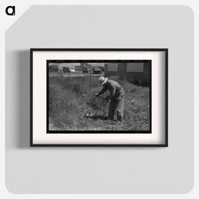 アートポスター-FSA Labor Camp Weeding
 - ラッセル リー Poster.
