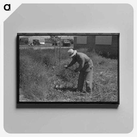 アートパネル-FSA Labor Camp Weeding
 - ラッセル リー Canvas.