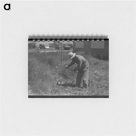アートメモ帳-FSA Labor Camp Weeding
 - ラッセル リー Memo.