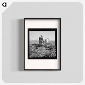 アートポスター-Mr. Roberts, FSA borrower. Owyhee project. Malheur County, Oregon - ドロテア ラング Poster.