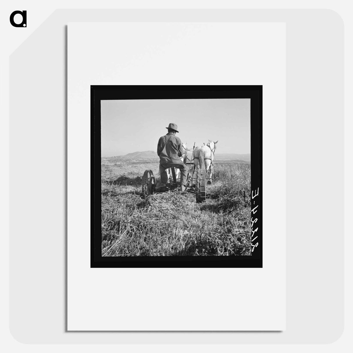 Mr. Roberts, FSA borrower. Owyhee project. Malheur County, Oregon - ドロテア ラング Poster.