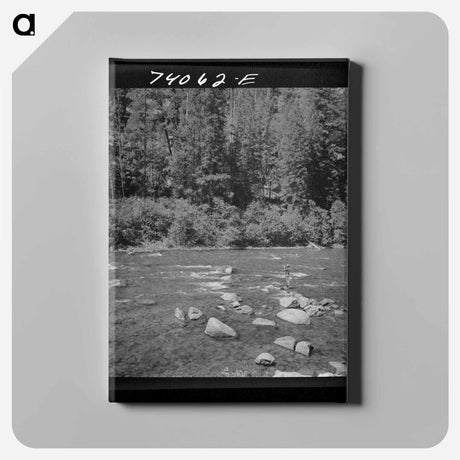 アートパネル-Fishing in the Salmon River
 - ラッセル リー Canvas.