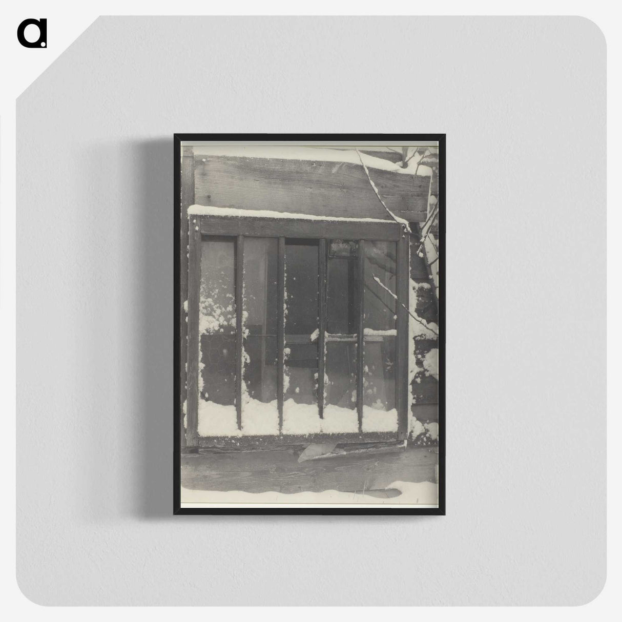 2-100_Alfred-Stieglitz_blk-crop