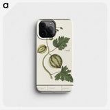 2-100_Anselmus-Boetius-de-Boodt_phone
