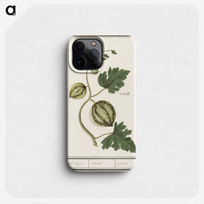 2-100_Anselmus-Boetius-de-Boodt_phone