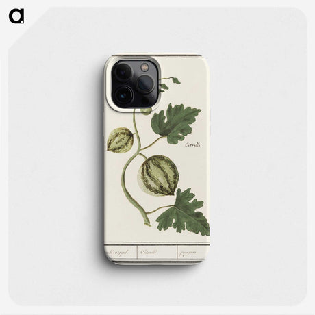 2-100_Anselmus-Boetius-de-Boodt_phone