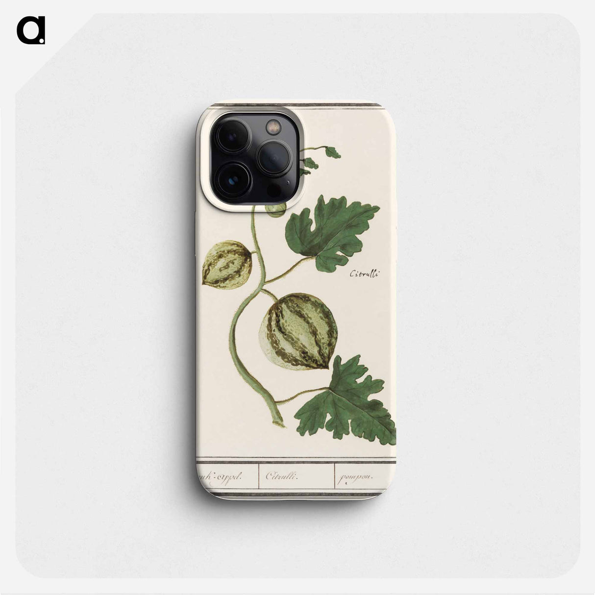 Watermelon - アンセルムス ボエティウス デ ブート Phone Case.
