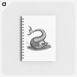 アートメモ帳-Fish Creature Illustration
 - 大英図書館 Memo.