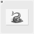 アートポストカード-Fish Creature Illustration
 - 大英図書館 Postcard.