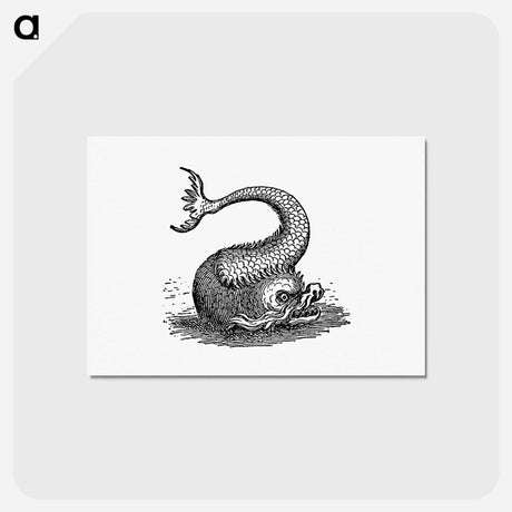 アートポストカード-Fish Creature Illustration
 - 大英図書館 Postcard.