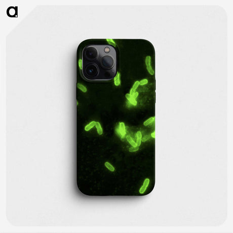 2-100_COVID-19_phone