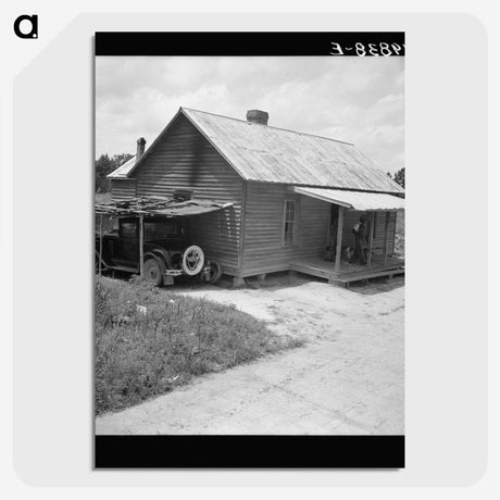 2-100_Dorothea-Lange_picture-crop