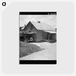 2-100_Dorothea-Lange_postcard