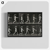 2-100_Eadweard-Muybridge_blk-crop