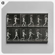 2-100_Eadweard-Muybridge_canvas