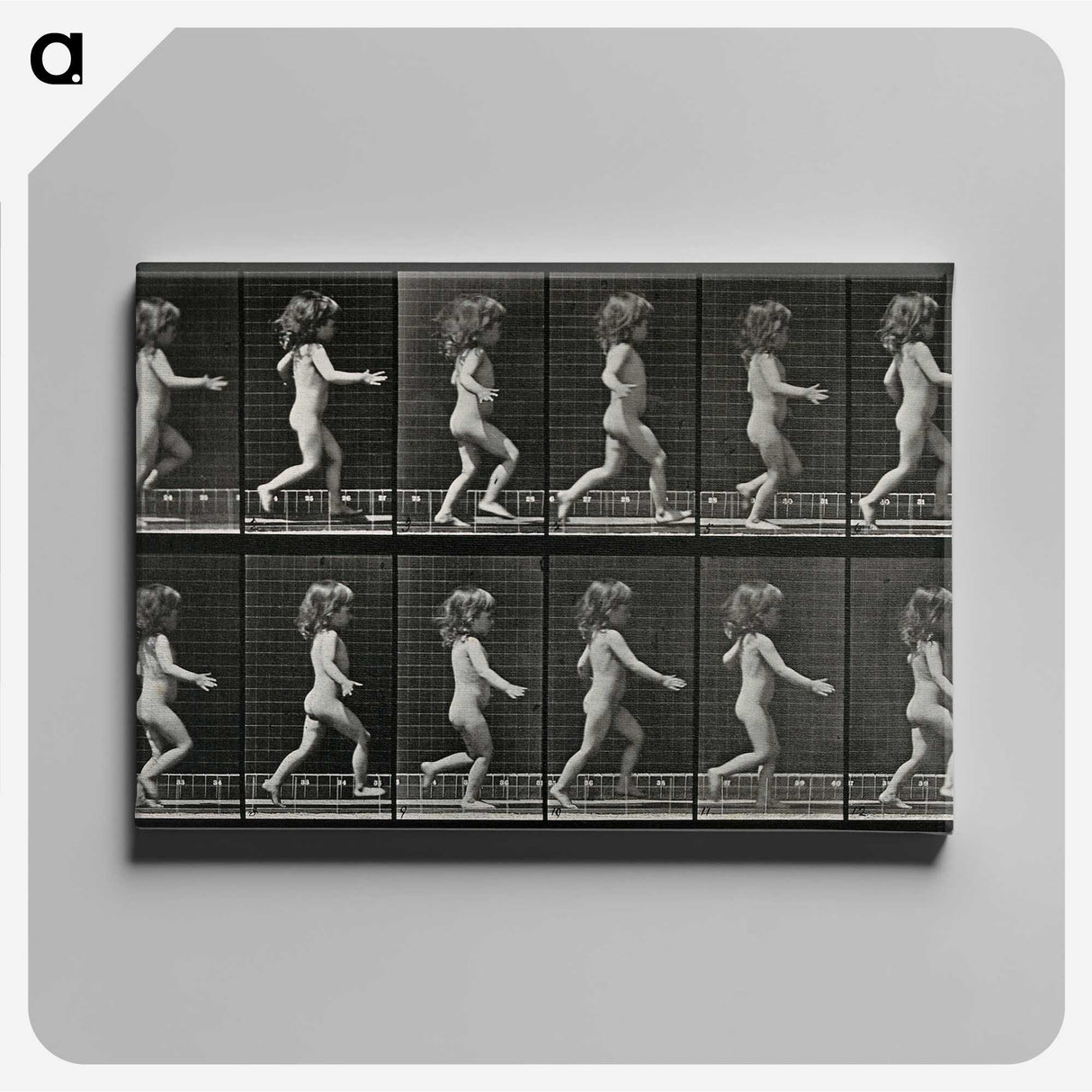 2-100_Eadweard-Muybridge_canvas