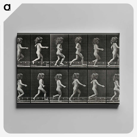 2-100_Eadweard-Muybridge_canvas