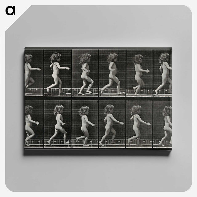 2-100_Eadweard-Muybridge_canvas