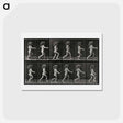 アートポストカード-Running Girl
 - エドワード マイブリッジ Postcard.