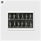 アートポストカード-Running Girl
 - エドワード マイブリッジ Postcard.