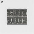 2-100_Eadweard-Muybridge_memo