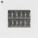 2-100_Eadweard-Muybridge_memo