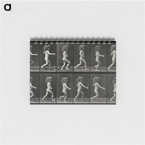 2-100_Eadweard-Muybridge_memo