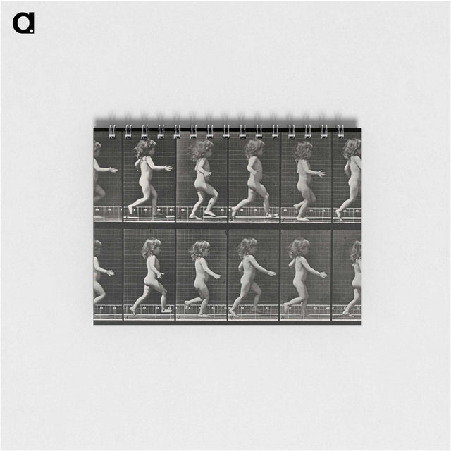 2-100_Eadweard-Muybridge_memo