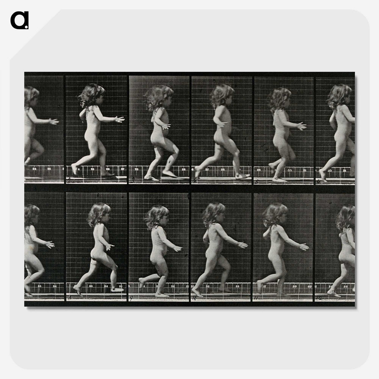 2-100_Eadweard-Muybridge_picture-crop