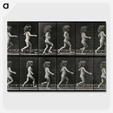 2-100_Eadweard-Muybridge_picture-crop
