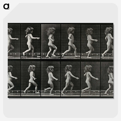 2-100_Eadweard-Muybridge_picture-crop