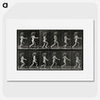 2-100_Eadweard-Muybridge_picture