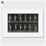 2-100_Eadweard-Muybridge_picture